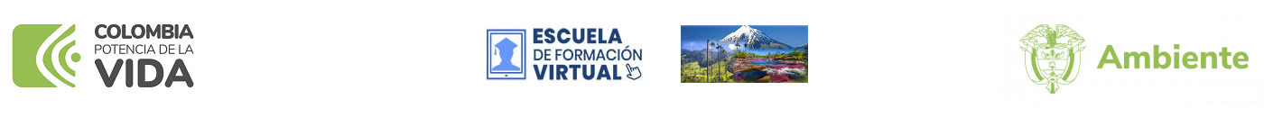 Escuela de Formación Virtual